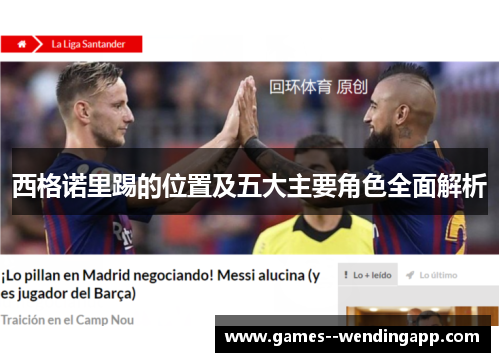 西格诺里踢的位置及五大主要角色全面解析