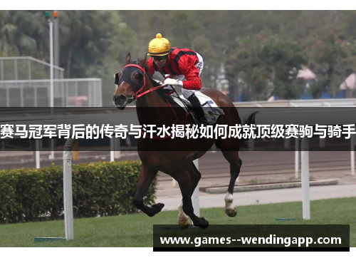 赛马冠军背后的传奇与汗水揭秘如何成就顶级赛驹与骑手