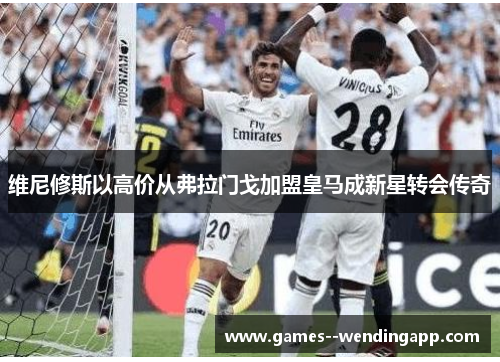 维尼修斯以高价从弗拉门戈加盟皇马成新星转会传奇