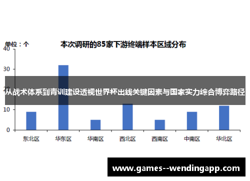 从战术体系到青训建设透视世界杯出线关键因素与国家实力综合博弈路径